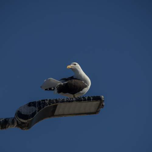 Photo #13710552