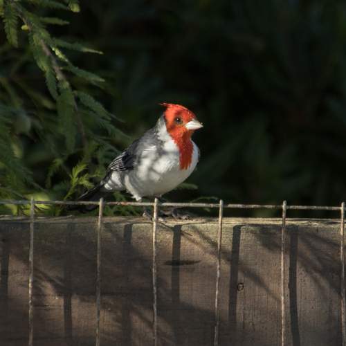 Photo #13710553