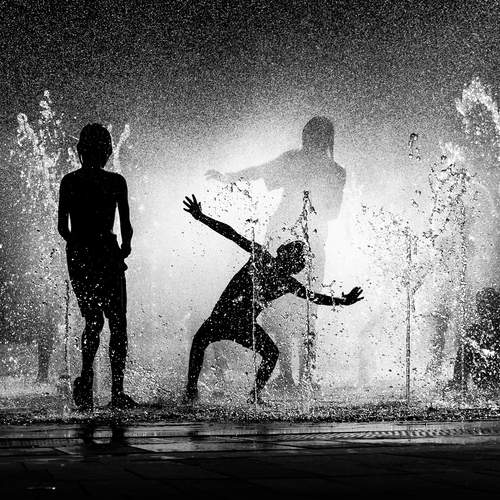 Photo #13710564