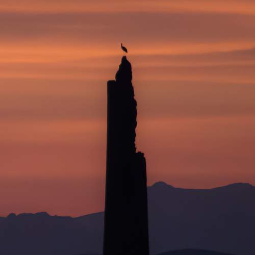 Stork