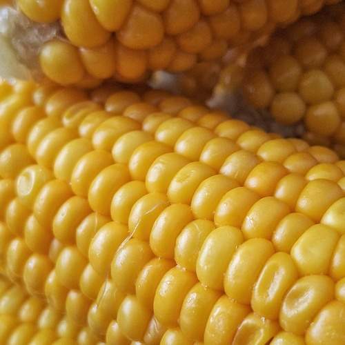 Photo #13710594