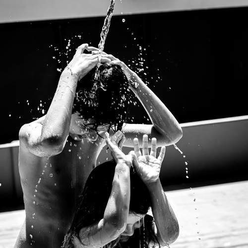 Photo #13710622