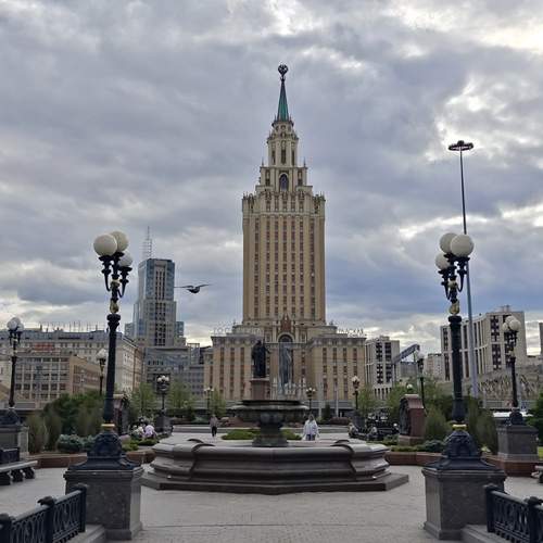 Photo #13710648