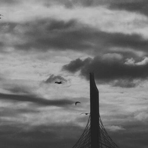 Photo #13710685