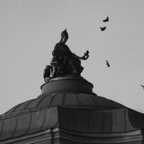 Photo #13710686