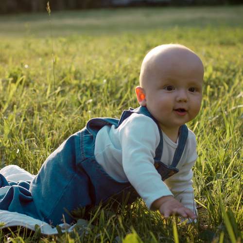 Photo #13710790