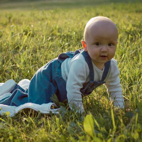 Photo #13710791