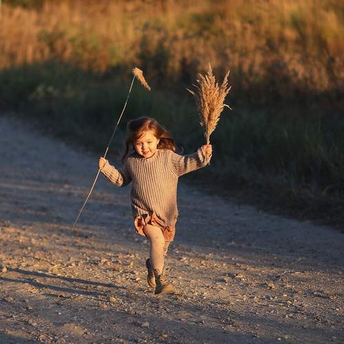 Photo #13710803