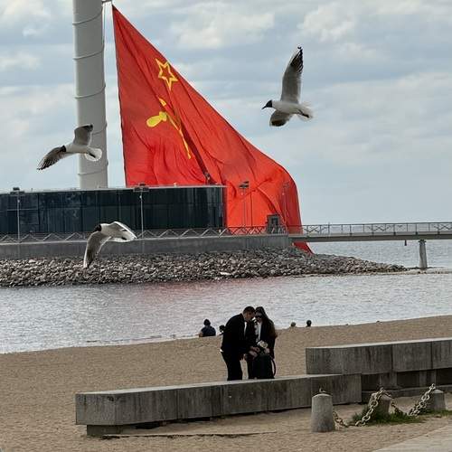 Photo #13710816