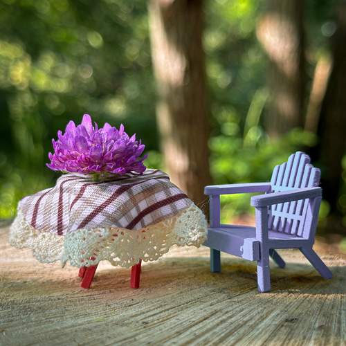 Photo #13710841
