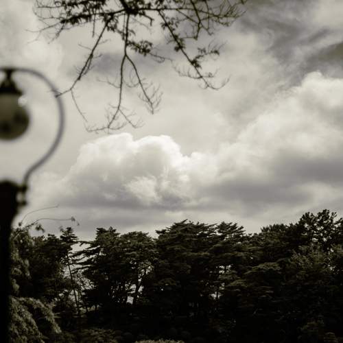 Photo #13710903