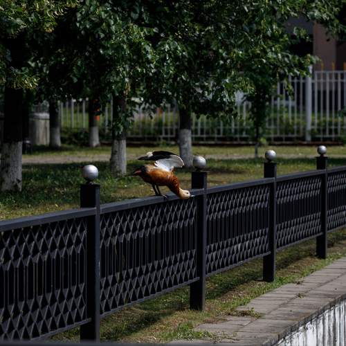 Photo #13710963