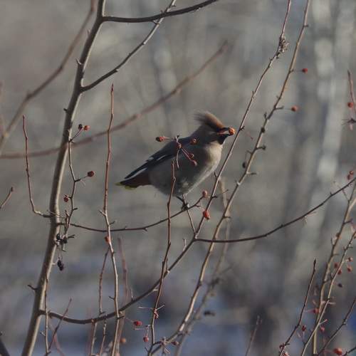 Photo #13710992