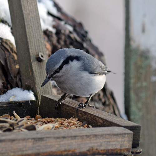 Photo #13711002