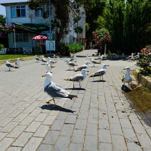 Photo #13711023