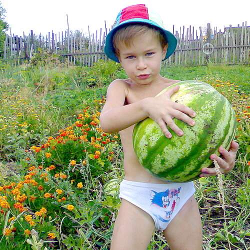 Photo #13711054