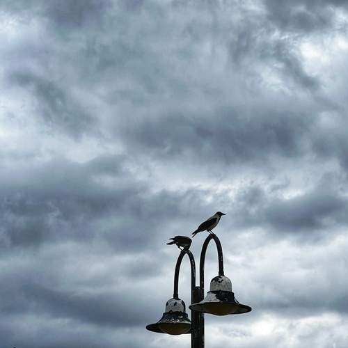Photo #13711068