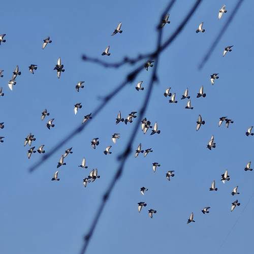 Photo #13711127