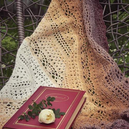 Photo #13711155