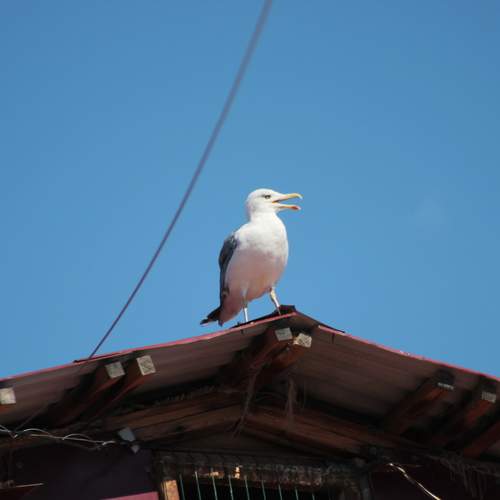 Photo #13711164