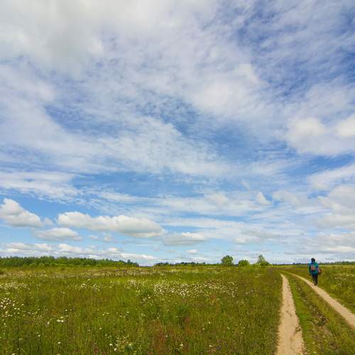 Photo #13711203