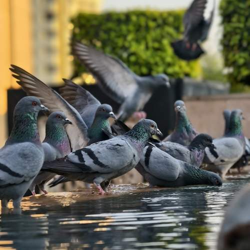 Photo #13711235