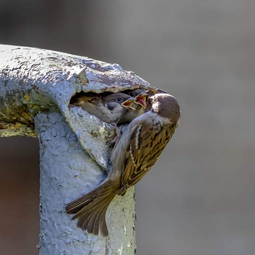 Photo #13711287