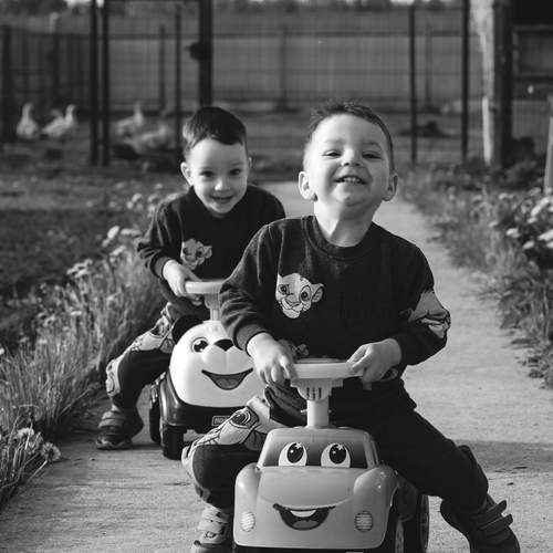 Photo #13711303