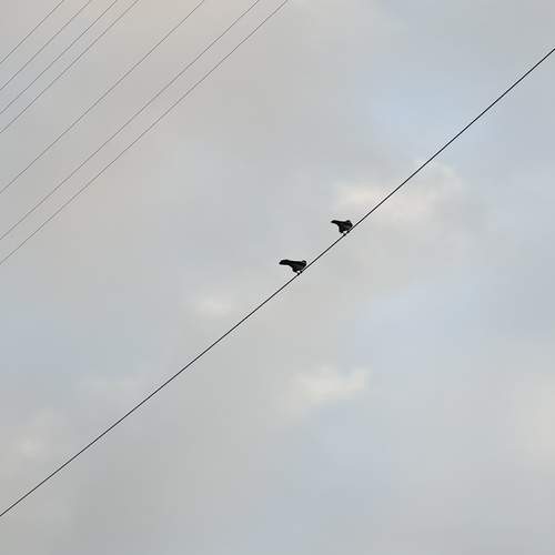 Photo #13711308