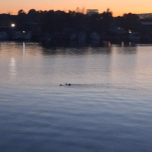 Photo #13711364