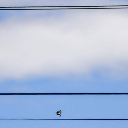 Photo #13711404
