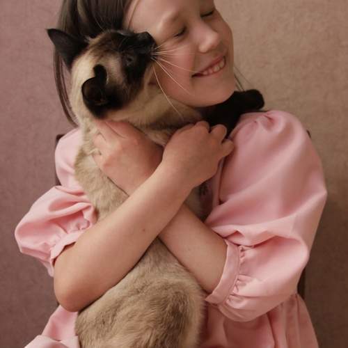 Photo #13711412