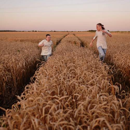 Photo #13711493