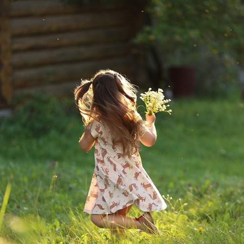 Photo #13711509