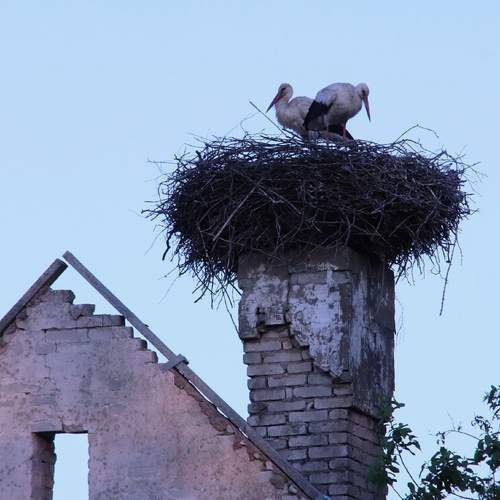 Photo #13711574