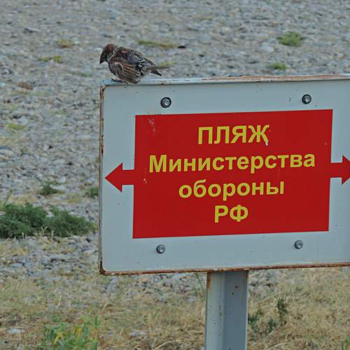Photo #13711584