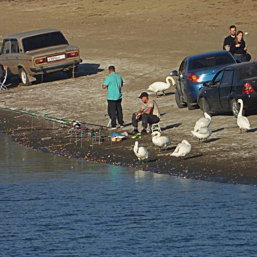 Photo #13711586