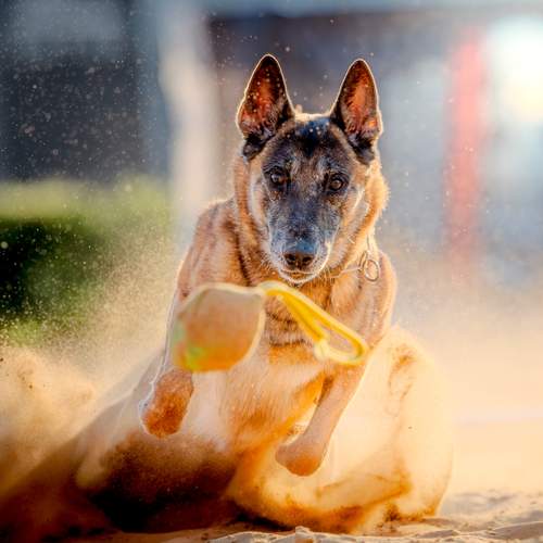 Photo #13711651