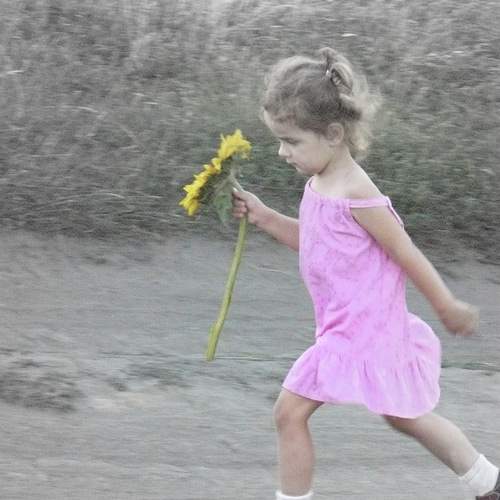 Photo #13711654