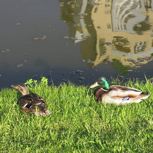 Photo #13711673