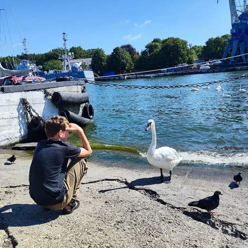 Photo #13711688
