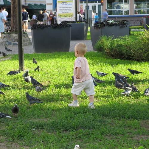 Photo #13711691
