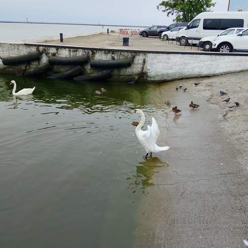 Photo #13711713