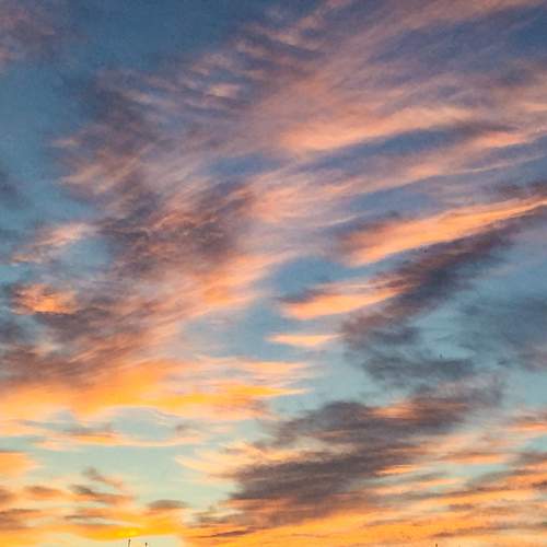 Photo #13711734