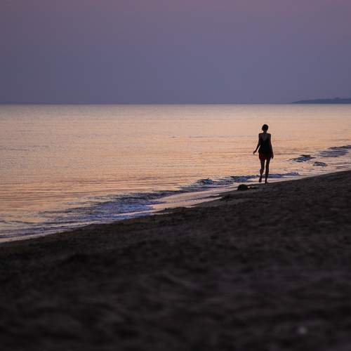 Photo #13711766