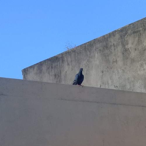 Photo #13711912