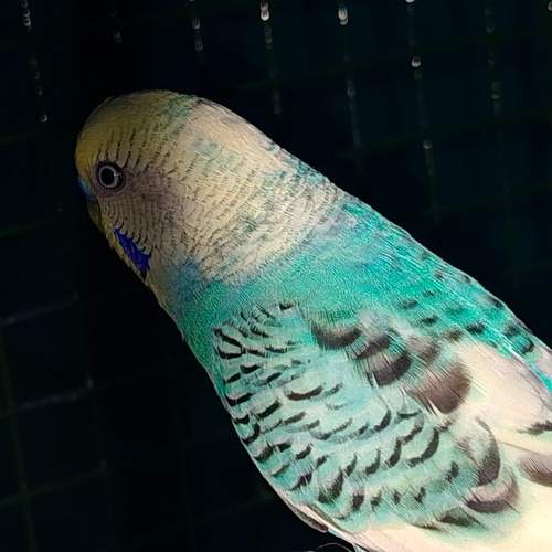 Photo #13711915