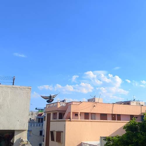 Photo #13711917