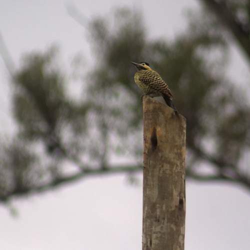 Photo #13711945