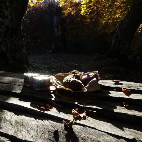 Photo #13711973